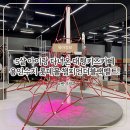 비밀의하원 | 용인 키즈카페 수지롯데몰 챔피언더블랙벨트 하원하고 평일에 다녀온 후기