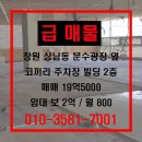 상남동215 이미지