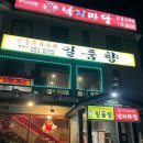 여주-0171 Daum카페