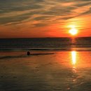 피올르 | 인상파 화가들의 발자취를 따라서 ..노르망디