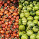 이정화농장 이미지