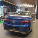 멍멍아야옹아 이미지