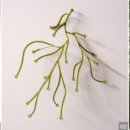 형제산업 이미지