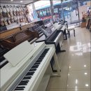 커즈와일세일 패밀리뮤직 괴정영창 역대급이네요