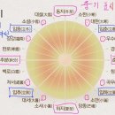 Re:2월 윤일과, 윤달 이미지