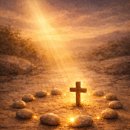 참수제비 이미지