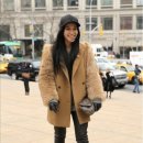 폭스(FOX) 이미지