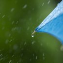 세인치과의원 이미지