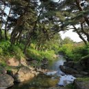 영주 식암 황섬 신도비 이미지