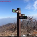 대안마을 이미지