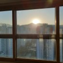 입주청소는 더 샤이닝 홈케어_내돈내산 후기