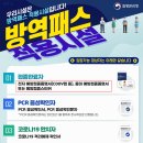 코로나19 예방접종증명서 방역패스 유효기간 안내 (매일 업데이트) 이미지