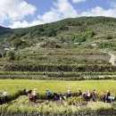 대안마을 이미지