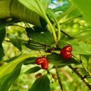 뱀사골공인중개사사무소 이미지