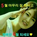 법연