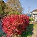 싸리재펜션 이미지