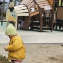 아이랑어린이집 | 대전 아이랑 집앞 놀이터｜어린이집 쉬는 날 33개월 모래놀이 + 다이소 장난감 후기