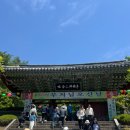 경주 시그니쳐풀빌라 | 🚘워니랑 경주여행(불국사/애스톤키즈풀빌라/아래헌/하루방뚝배기)