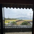 자연숲펜션 | [순천 숙소 추천] 순천 쉴랑게숙소 순천만숲펜션 내돈내산 후기[feat. 쉴랑게패스]