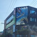 알프스식당 | [대전 맛집] 알프스다이빙 근처 소고기 맛집, 한마음 정육식당 후기