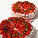 타르트문 이미지