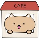 카페1441 이미지