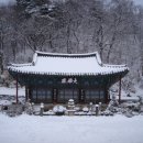 청용사 Daum카페