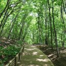 벌등공원 이미지