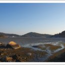 통리 솔밭해변 이미지