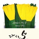 다시 봄 이미지