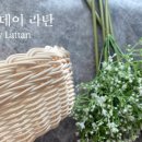 보통라탄