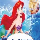 평화로09 이미지