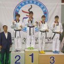 우승태권도 이미지