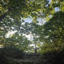 100대 명산 구미 금오산 현월봉(金烏山 顯月峰, 976m) 산행 #5 이미지