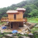 톰소여의모험 이미지