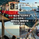 송정동-8 | 부산 해운대 가족여행 코스 추천 | 해운대블루라인파크 해변열차 예매, 할인 이용방법/포토존