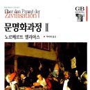 대궁종합장식 | [2022년 1월호] 그들이 '문명인'이 되기까지