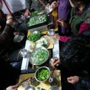 (주)가야랜드 달빛야영장 이미지