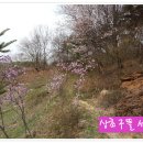정경농장 이미지