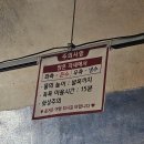 | 광양 가볼 만한 곳 | 광양 와인동굴 후기 |
