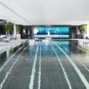 베이징최고야 이미지