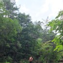 쌍곡예당야영장 이미지