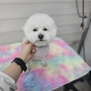 주안5동 행정복지센터 이미지