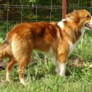 올드타임 이미지