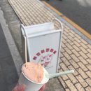 [잠실 나들이😉] 젤라또, 카페, 라코즈 내돈내산 후기 냠뇸