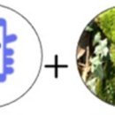 홍익대학교 스마트도시 과학경영대학원 이미지