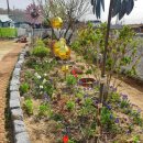 야생화마을펜션민박 이미지