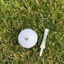 대명상사 | [강원도/홍천]&#34;골프빌런 골프공&#34;과 함께하는 &#34;소노펠리체 웨스트cc&#34; 라운딩 후기