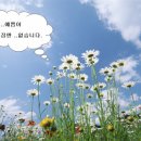 밀알꽃집