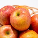 (주)더조은 이미지